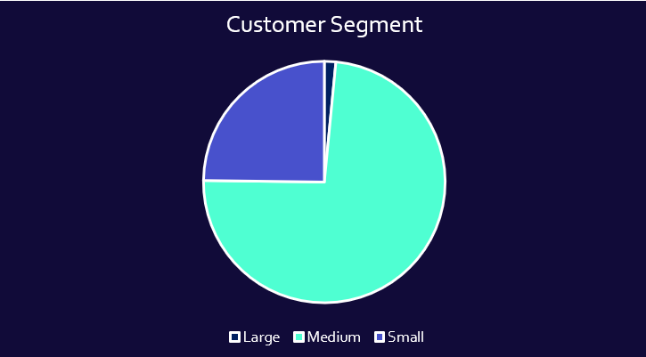 Customer Segment